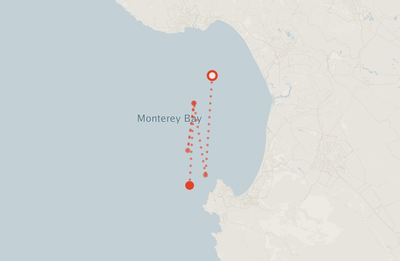 Activity map — real sighting points on an OpenStreetMap basemap