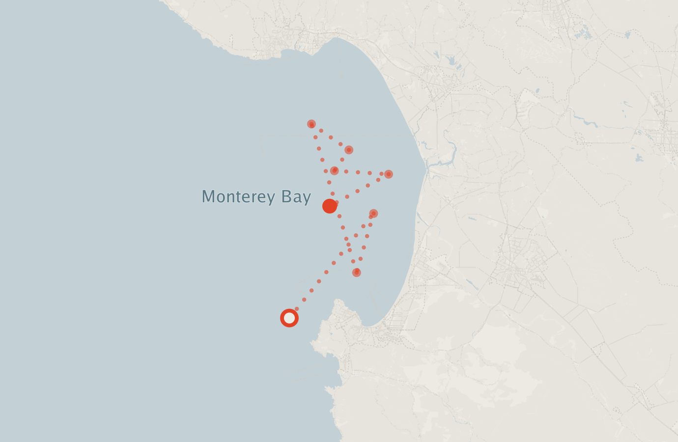 Activity map — real sighting points on an OpenStreetMap basemap