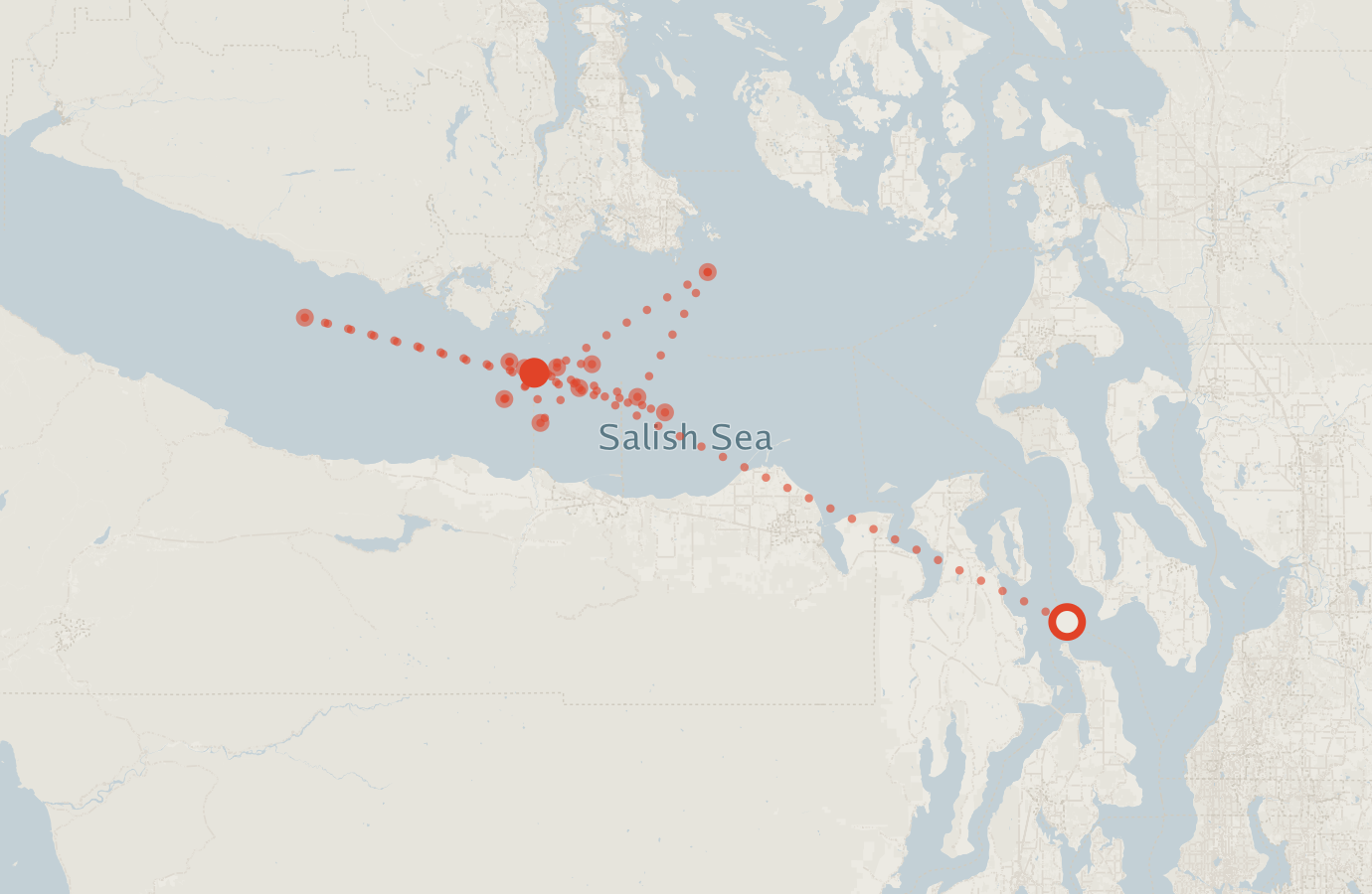 Activity map — real sighting points on an OpenStreetMap basemap