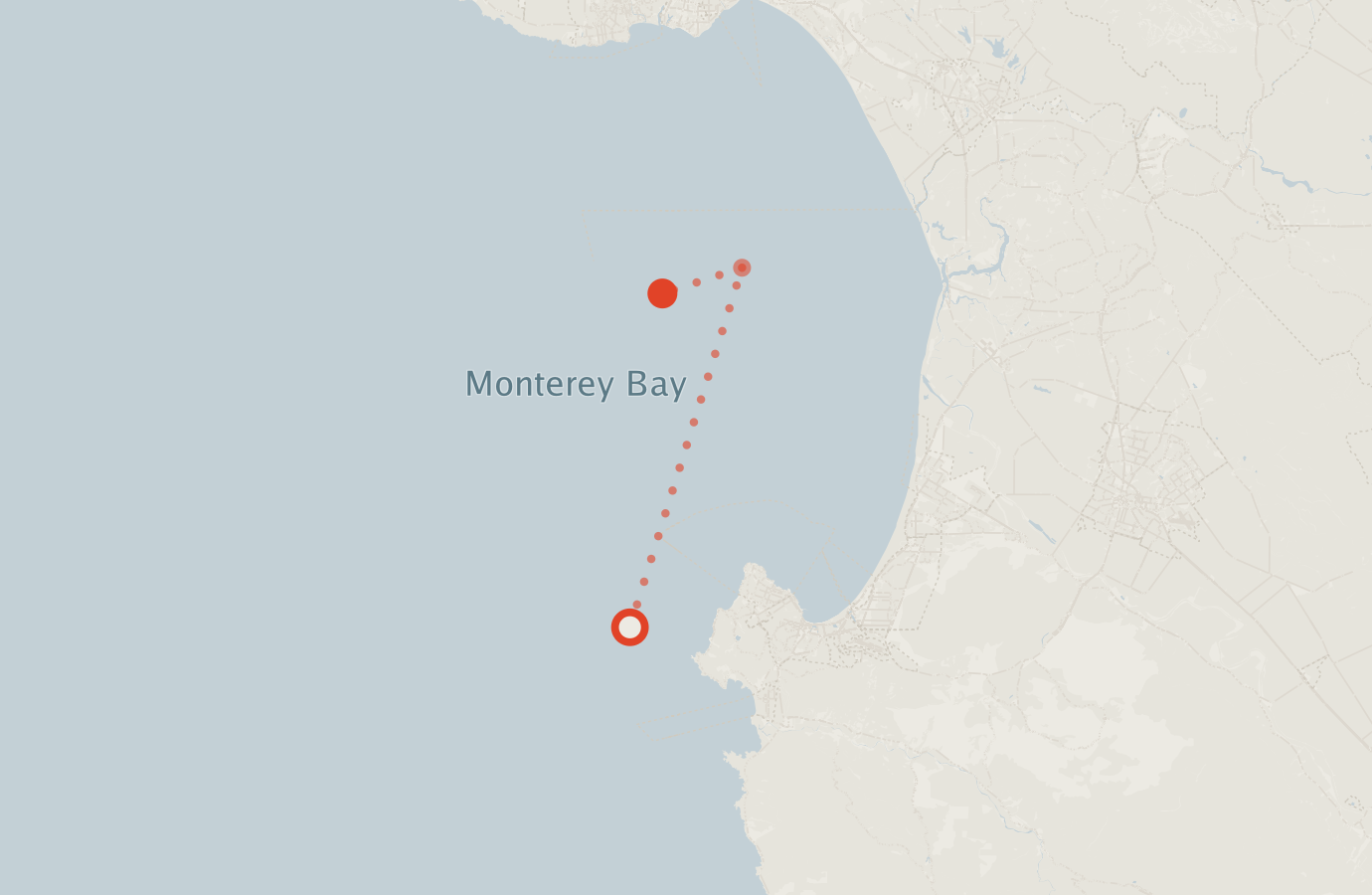 Activity map — real sighting points on an OpenStreetMap basemap