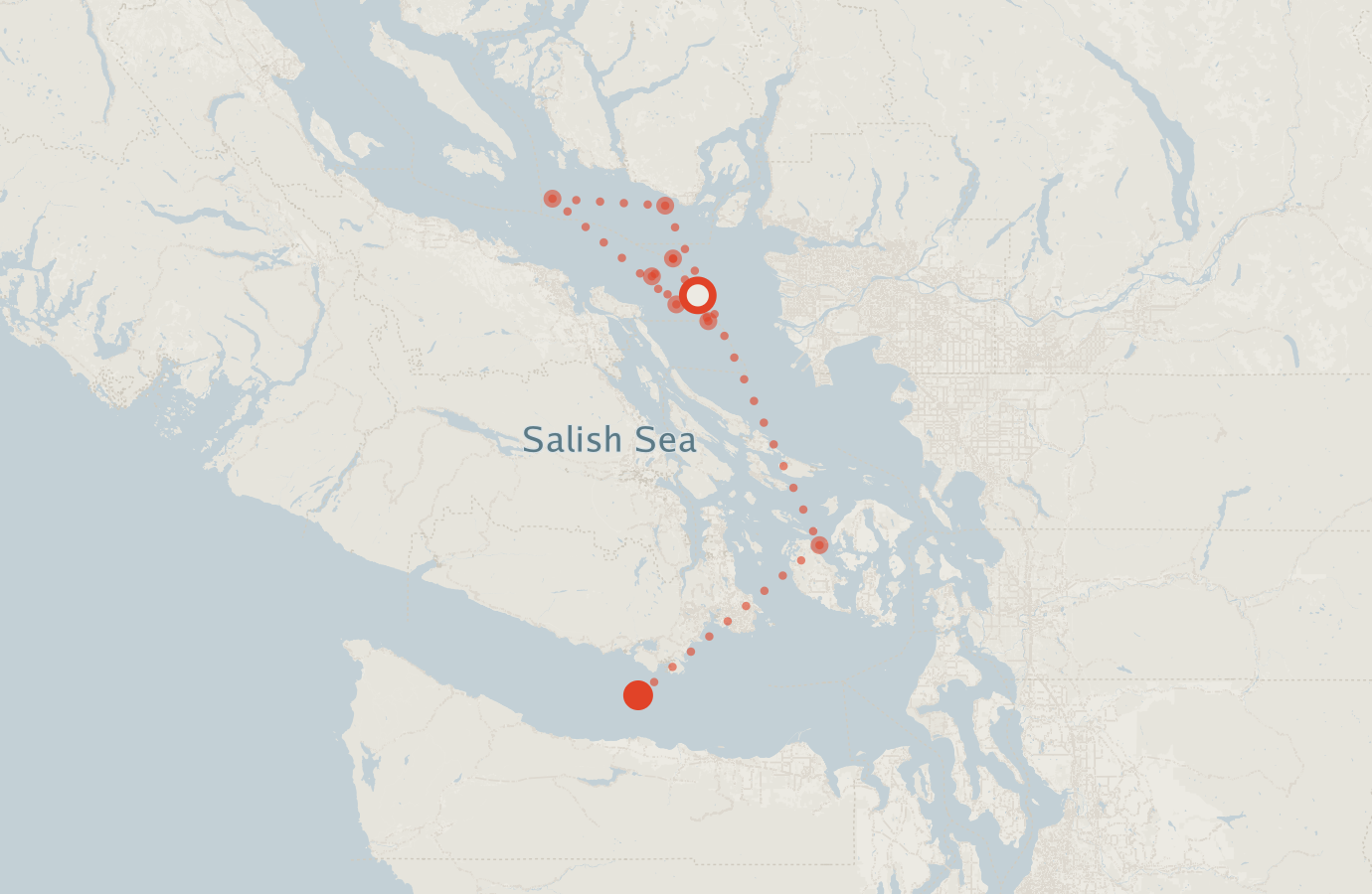 Activity map — real sighting points on an OpenStreetMap basemap