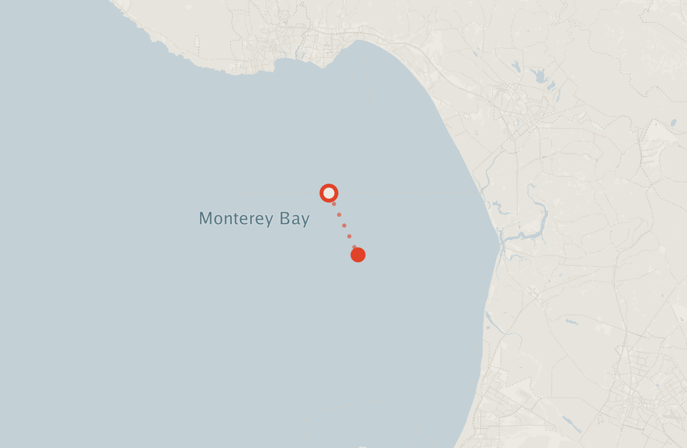 Activity map — real sighting points on an OpenStreetMap basemap