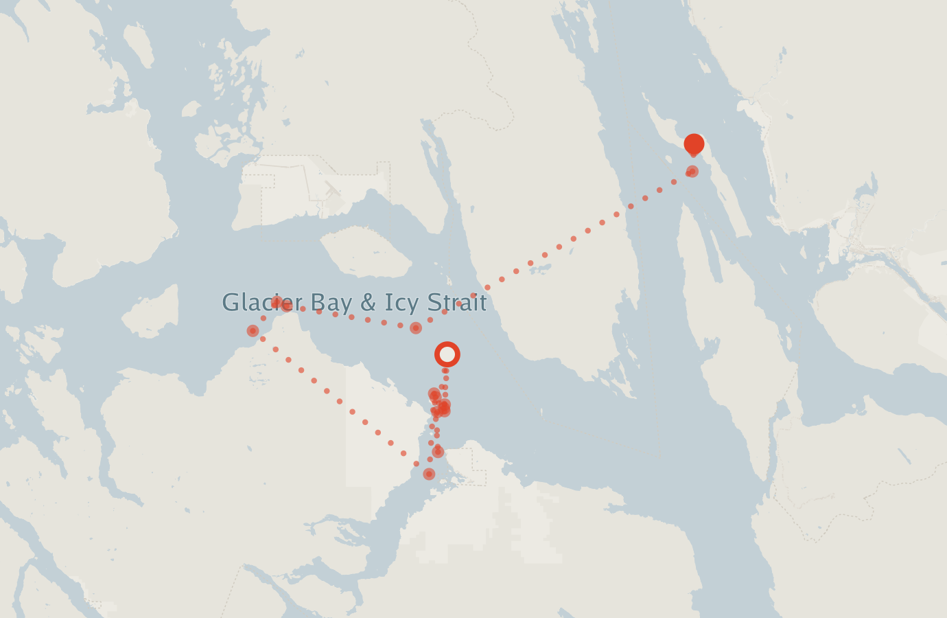Activity map — real sighting points on an OpenStreetMap basemap