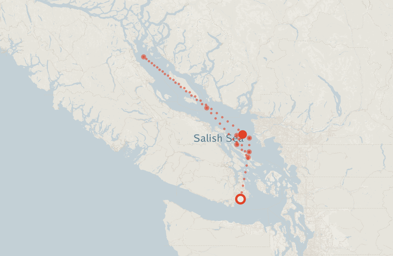 Activity map — real sighting points on an OpenStreetMap basemap