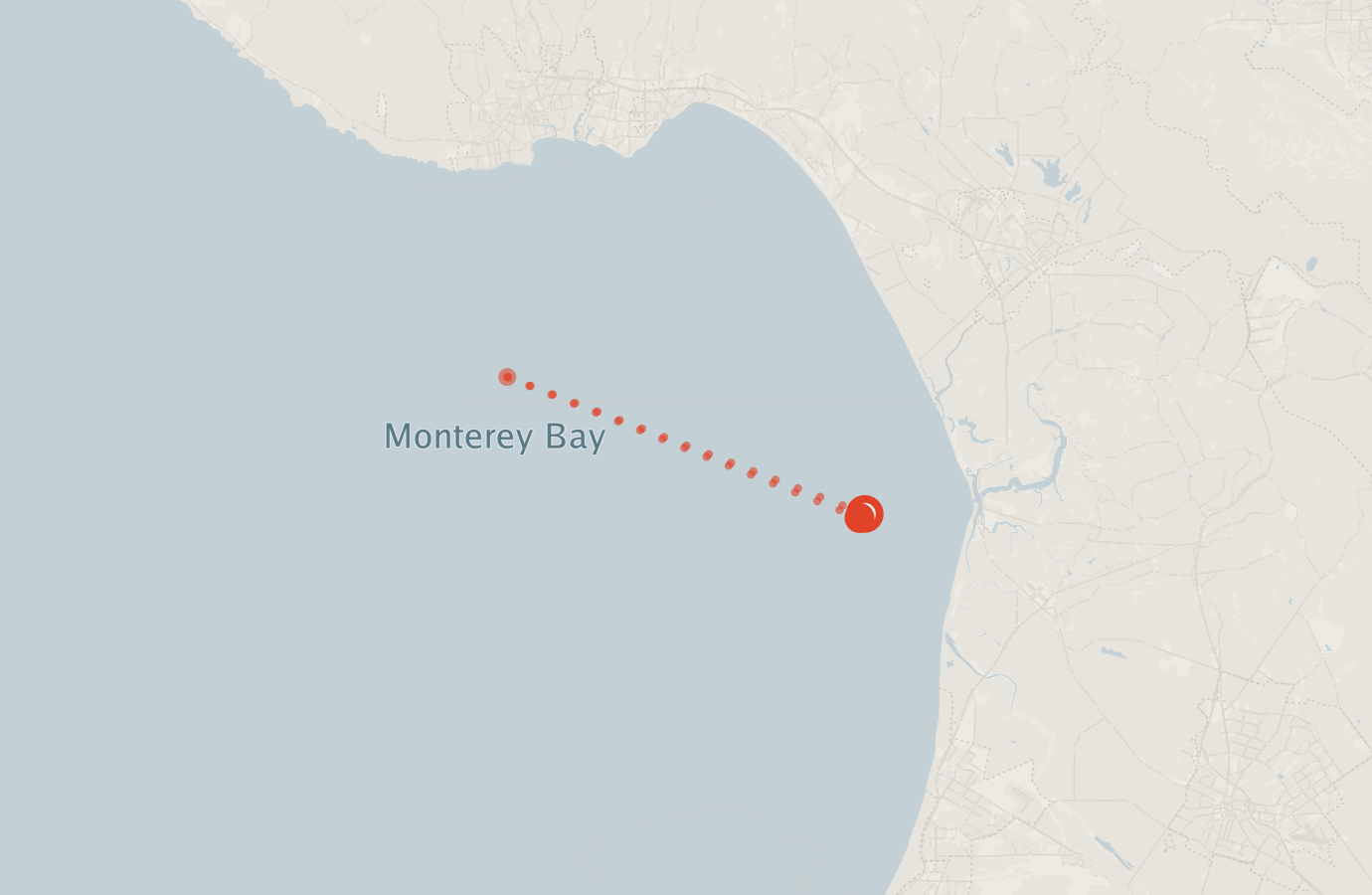 Activity map — real sighting points on an OpenStreetMap basemap