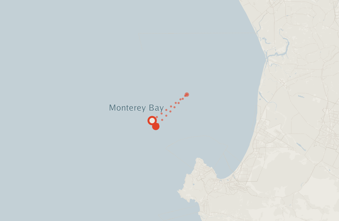 Activity map — real sighting points on an OpenStreetMap basemap