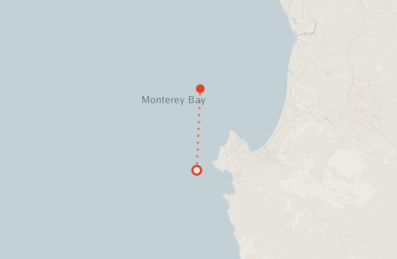 Activity map — real sighting points on an OpenStreetMap basemap