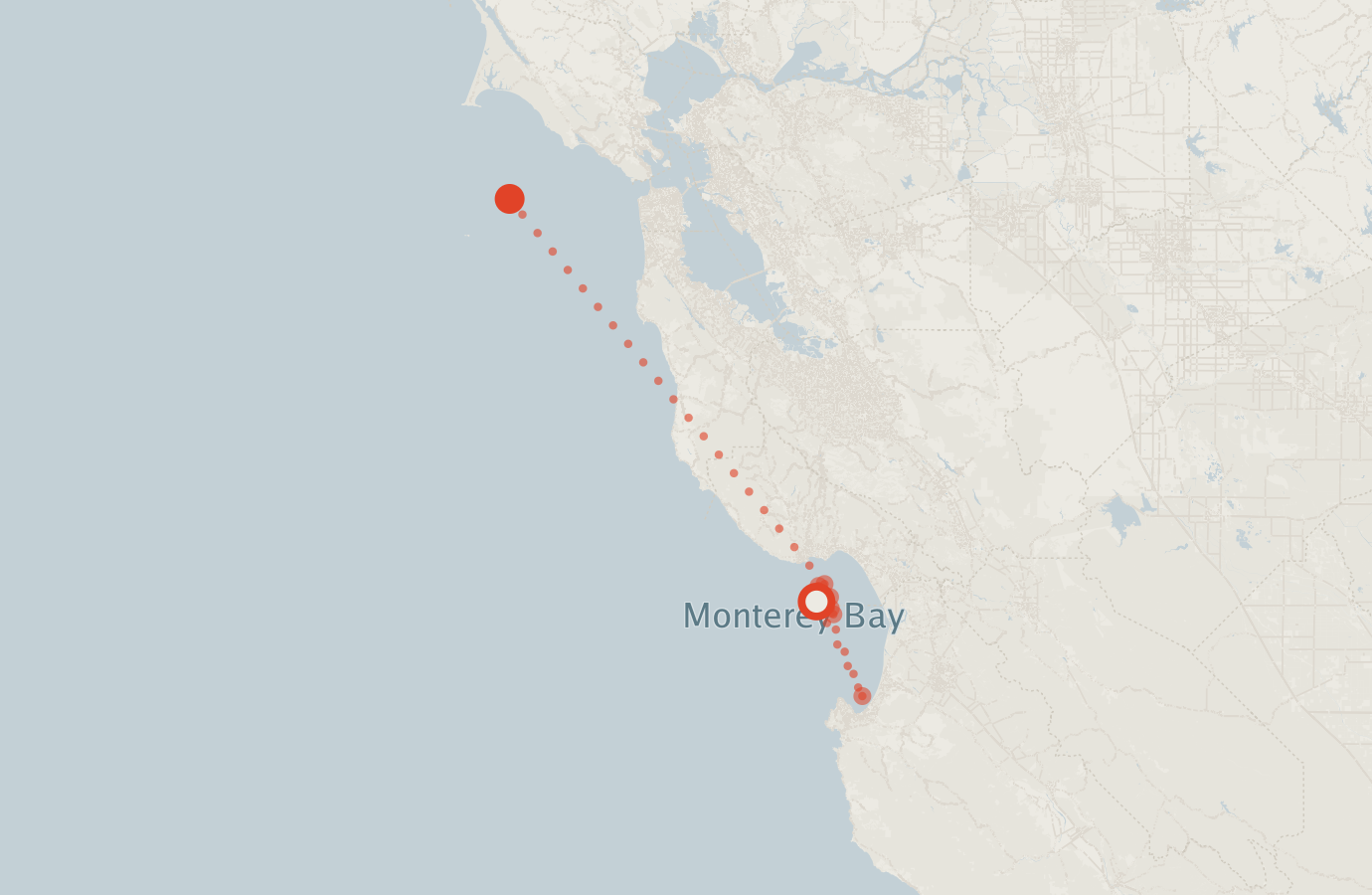 Activity map — real sighting points on an OpenStreetMap basemap