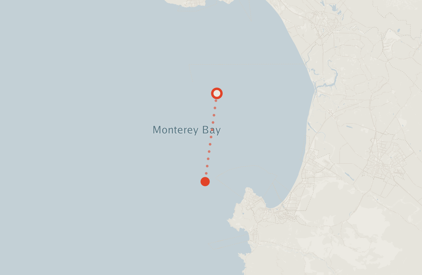 Activity map — real sighting points on an OpenStreetMap basemap