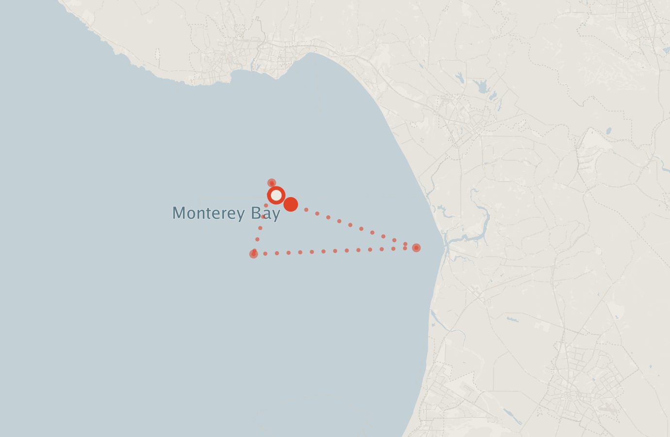 Activity map — real sighting points on an OpenStreetMap basemap