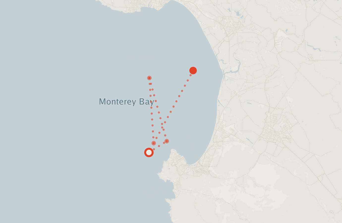 Activity map — real sighting points on an OpenStreetMap basemap