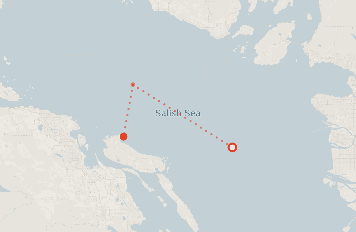 Activity map — real sighting points on an OpenStreetMap basemap