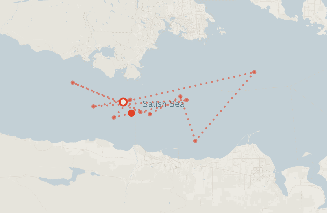 Activity map — real sighting points on an OpenStreetMap basemap
