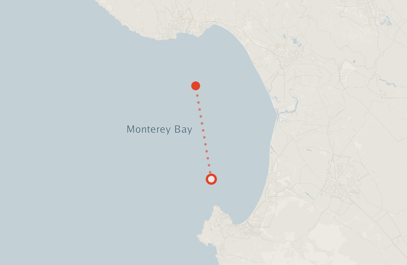 Activity map — real sighting points on an OpenStreetMap basemap