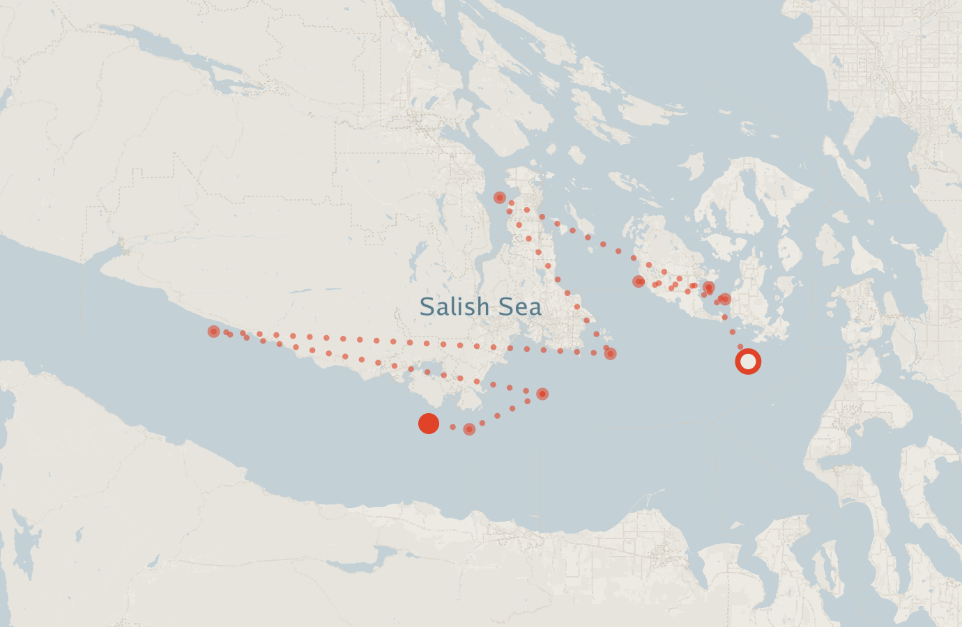 Activity map — real sighting points on an OpenStreetMap basemap
