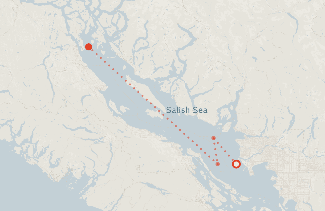 Activity map — real sighting points on an OpenStreetMap basemap