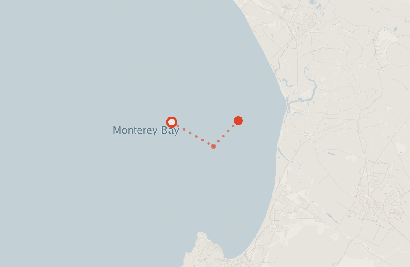 Activity map — real sighting points on an OpenStreetMap basemap
