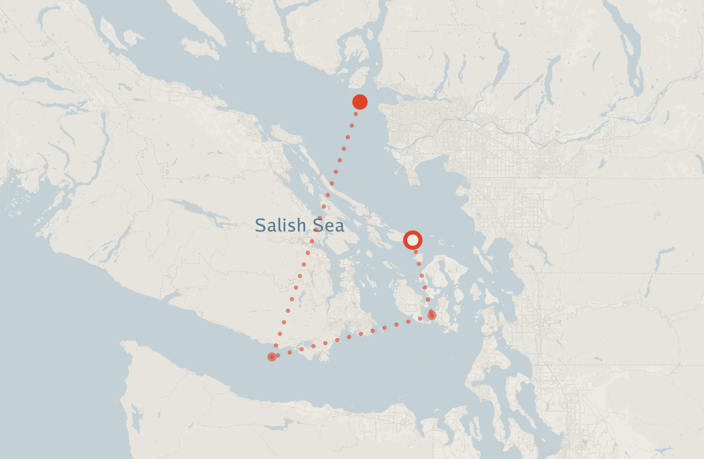 Activity map — real sighting points on an OpenStreetMap basemap