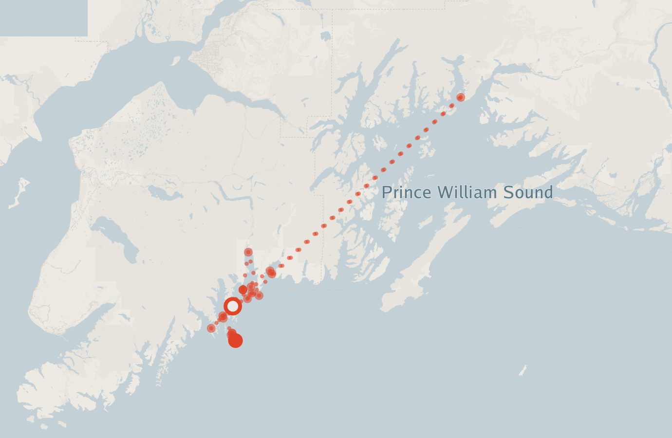 Activity map — real sighting points on an OpenStreetMap basemap
