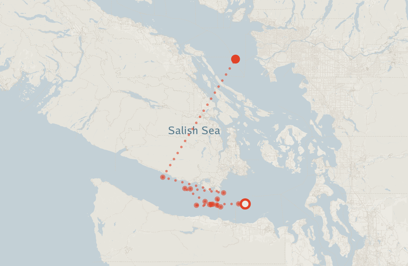 Activity map — real sighting points on an OpenStreetMap basemap