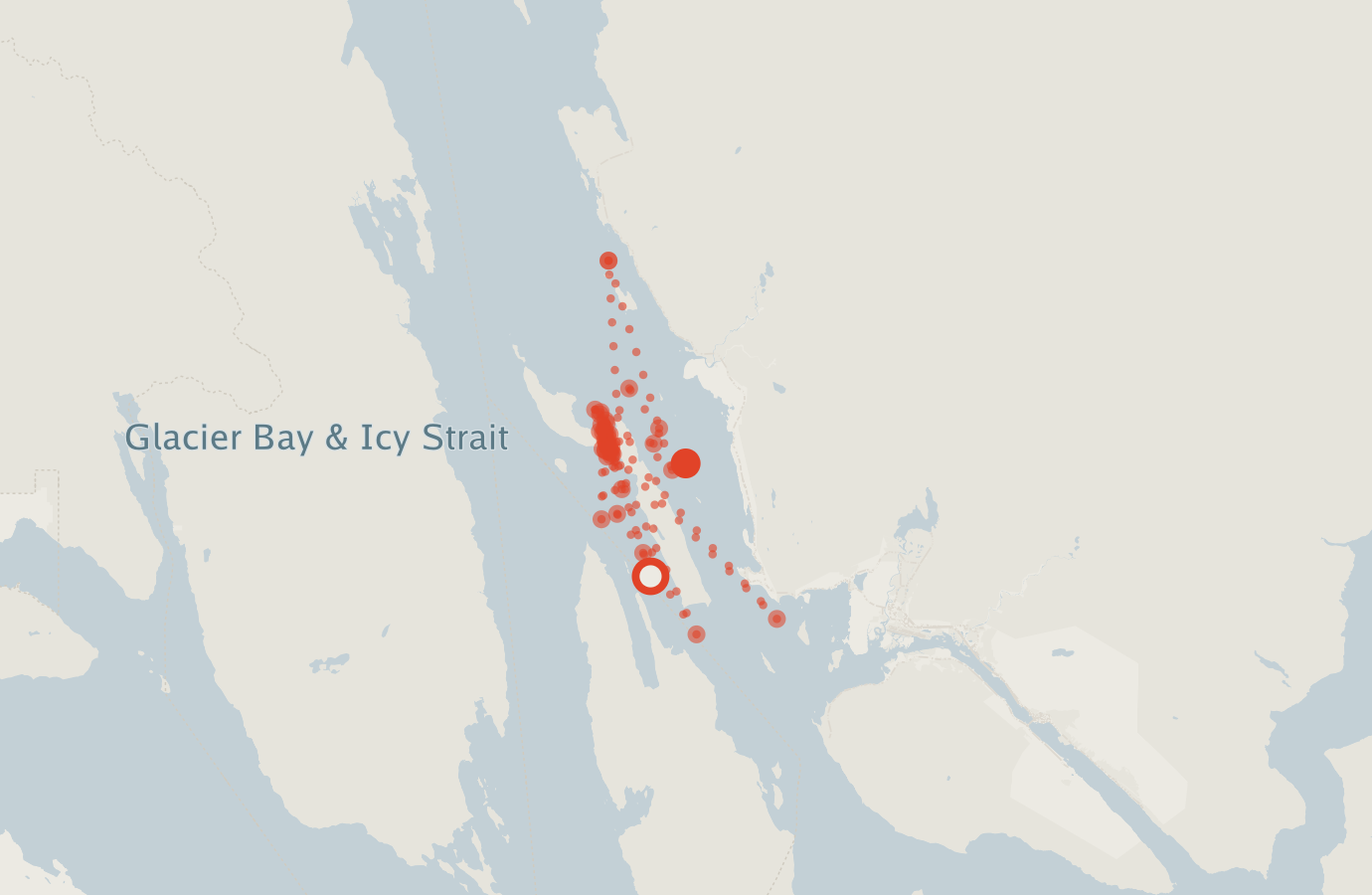 Activity map — real sighting points on an OpenStreetMap basemap