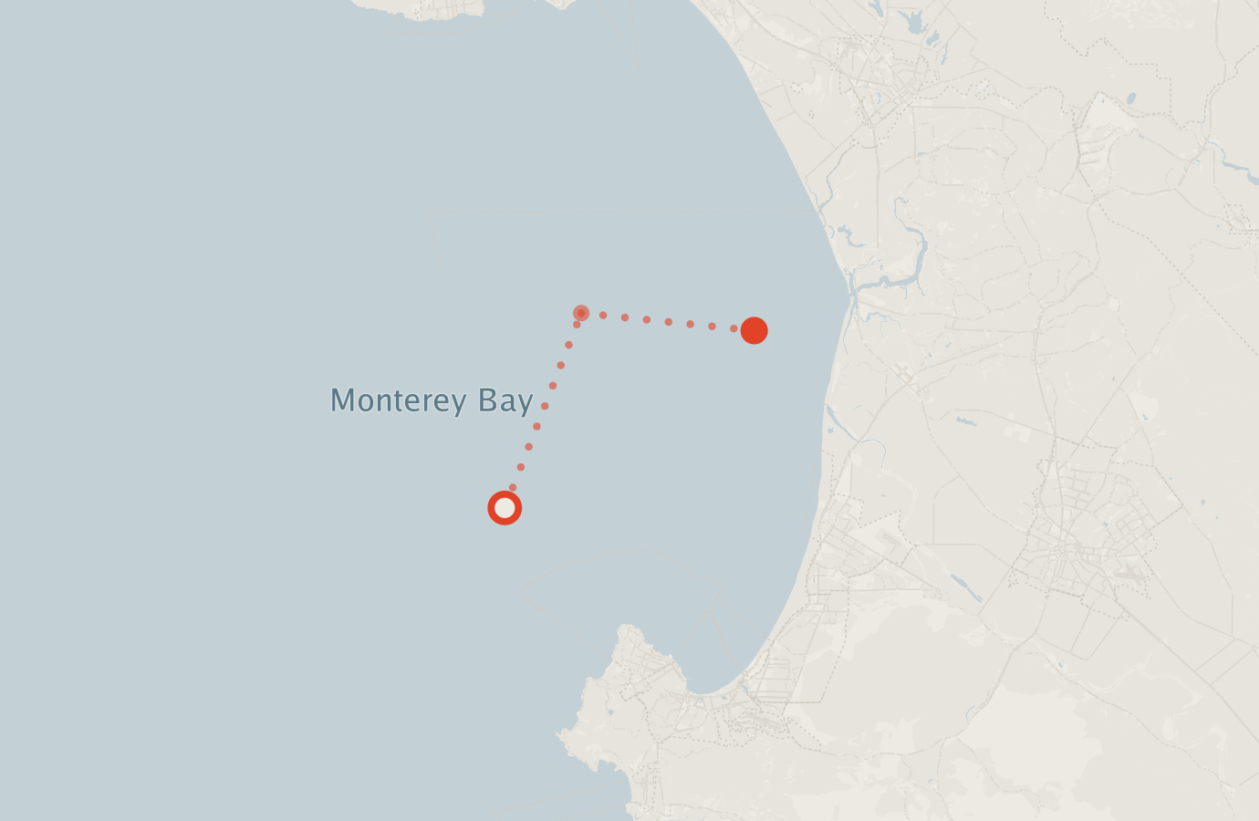 Activity map — real sighting points on an OpenStreetMap basemap