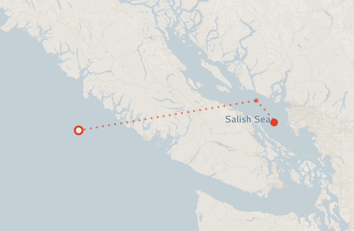 Activity map — real sighting points on an OpenStreetMap basemap