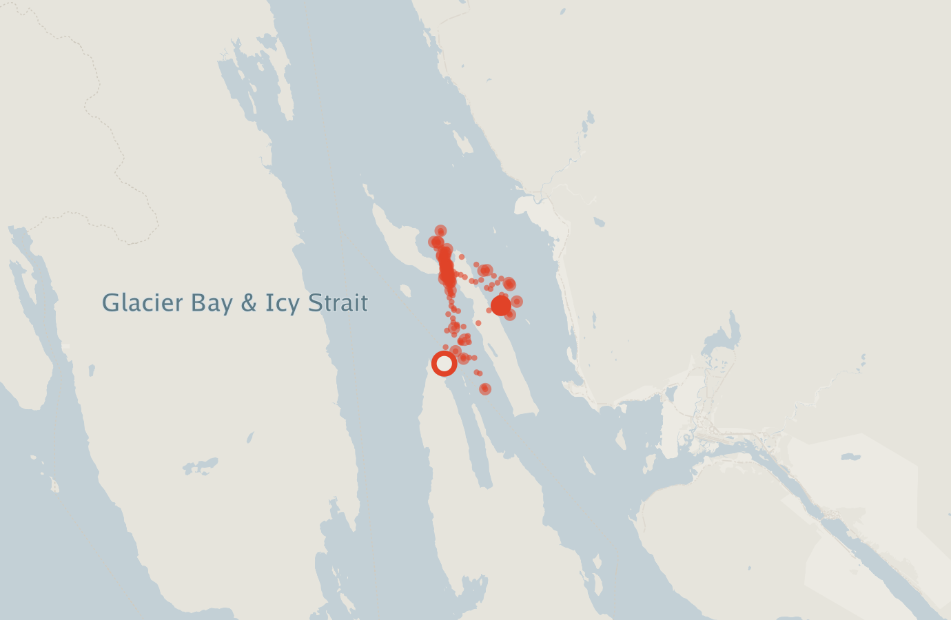 Activity map — real sighting points on an OpenStreetMap basemap
