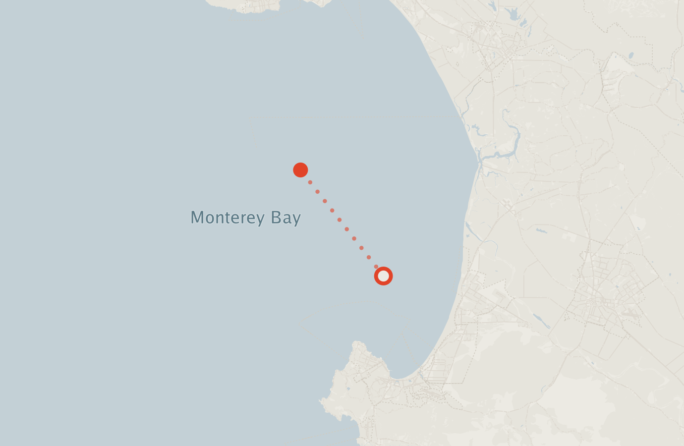 Activity map — real sighting points on an OpenStreetMap basemap