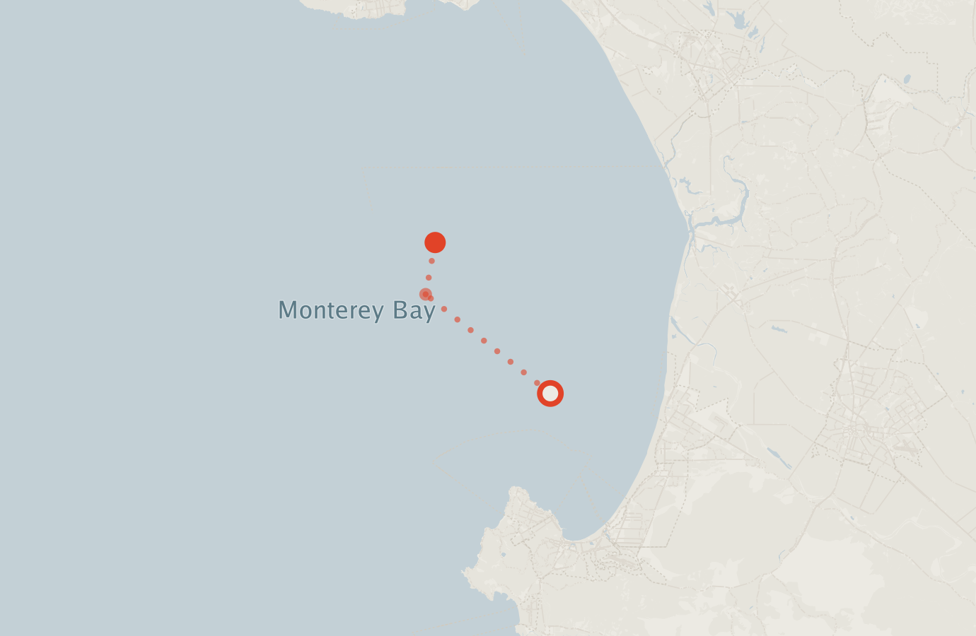 Activity map — real sighting points on an OpenStreetMap basemap