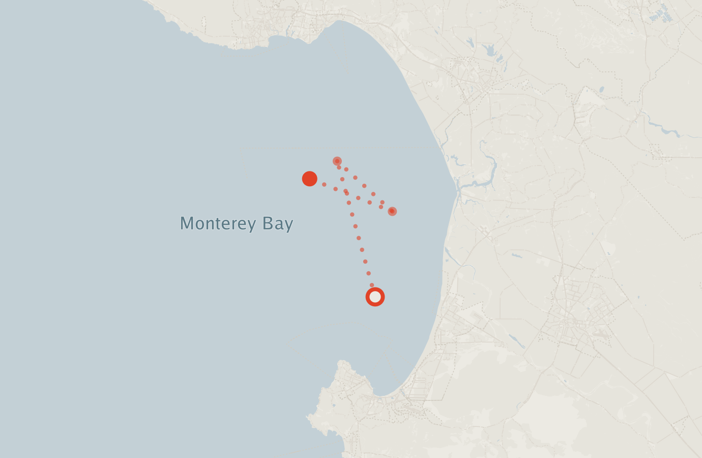 Activity map — real sighting points on an OpenStreetMap basemap