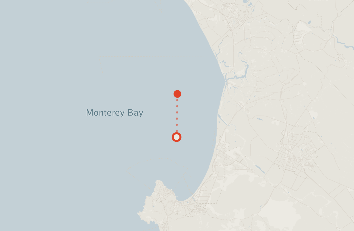 Activity map — real sighting points on an OpenStreetMap basemap