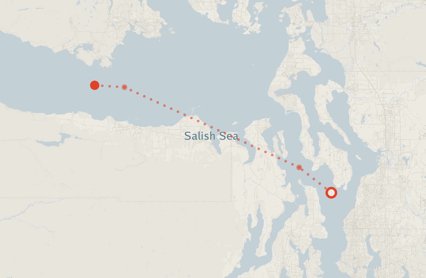 Activity map — real sighting points on an OpenStreetMap basemap