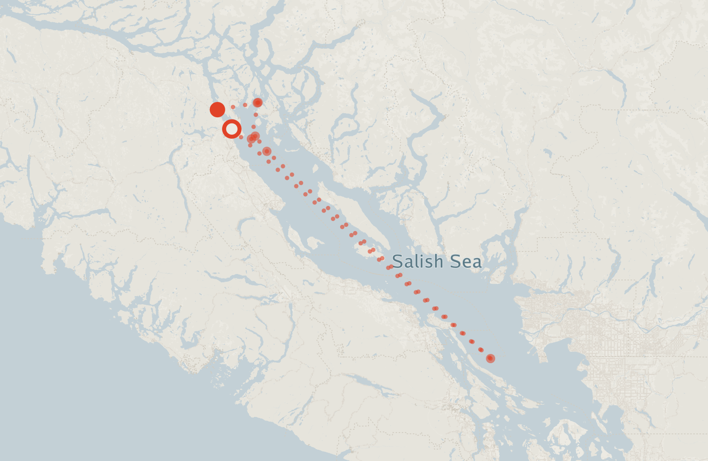 Activity map — real sighting points on an OpenStreetMap basemap