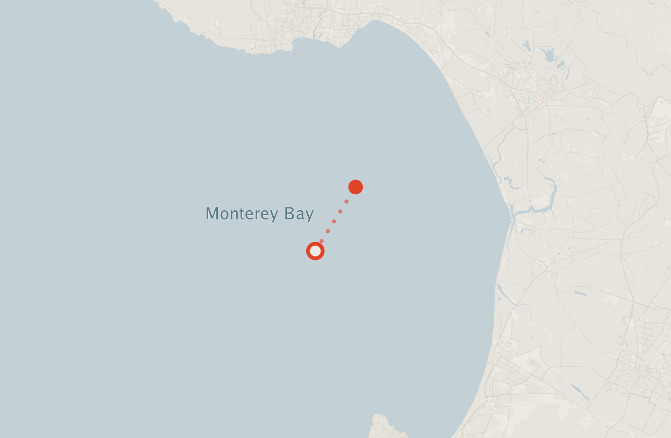 Activity map — real sighting points on an OpenStreetMap basemap