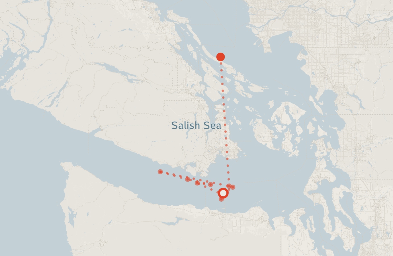 Activity map — real sighting points on an OpenStreetMap basemap