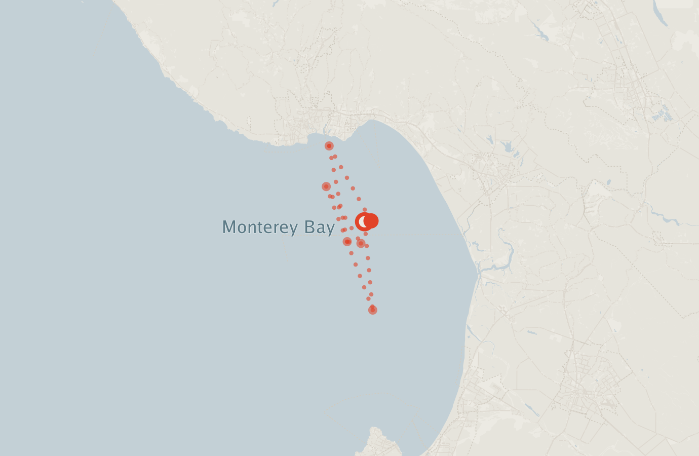 Activity map — real sighting points on an OpenStreetMap basemap