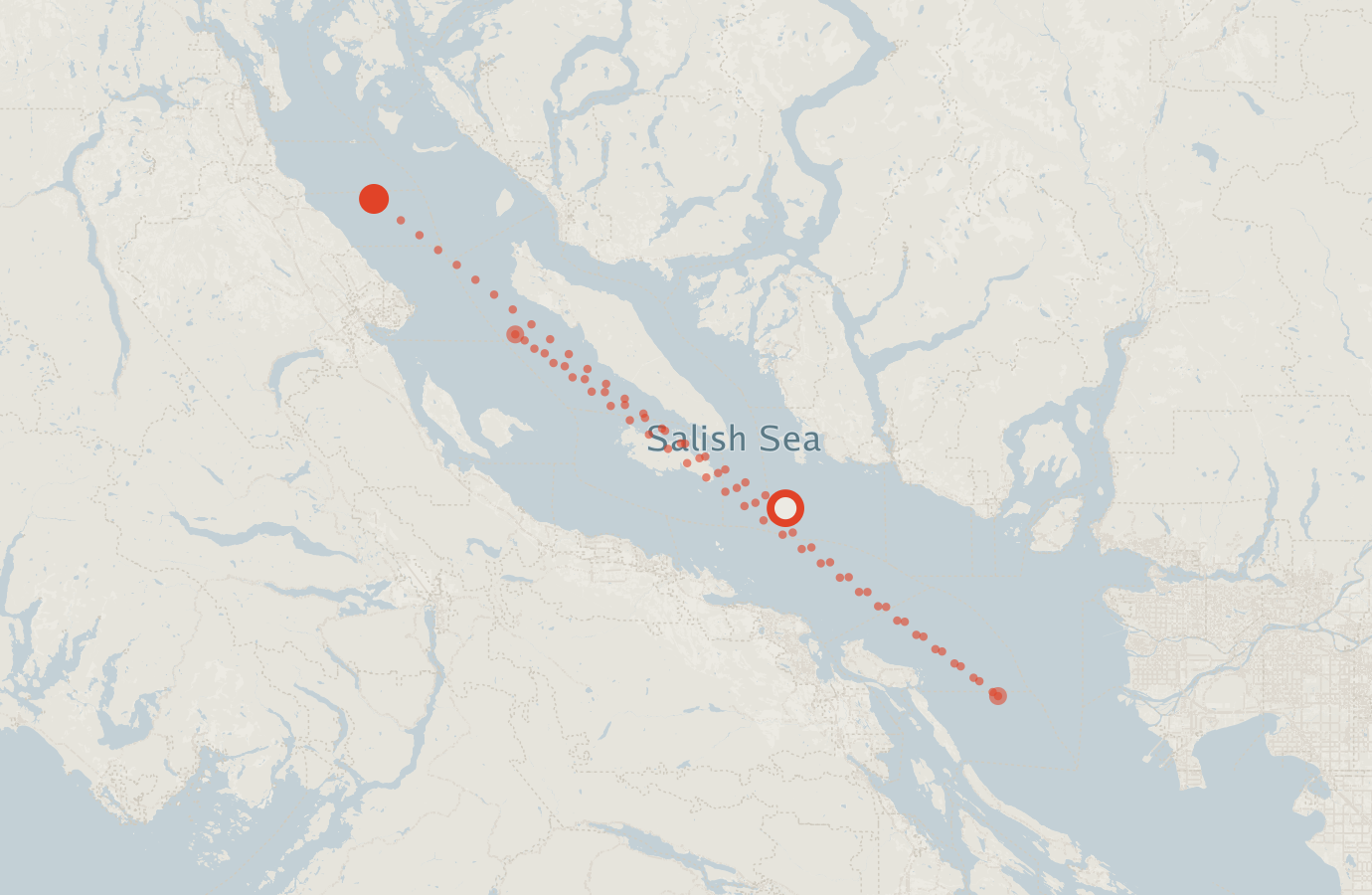 Activity map — real sighting points on an OpenStreetMap basemap