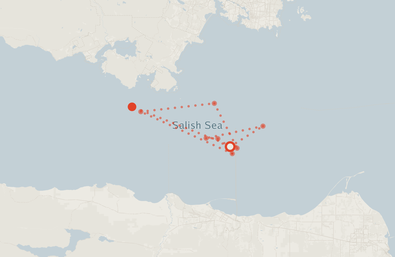 Activity map — real sighting points on an OpenStreetMap basemap
