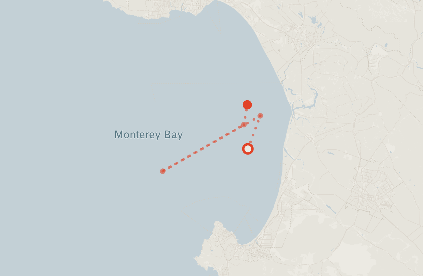 Activity map — real sighting points on an OpenStreetMap basemap