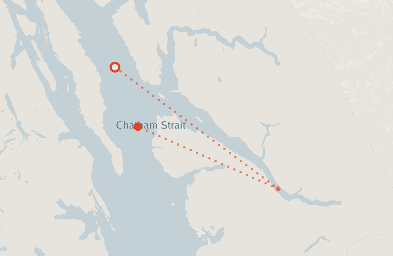 Activity map — real sighting points on an OpenStreetMap basemap