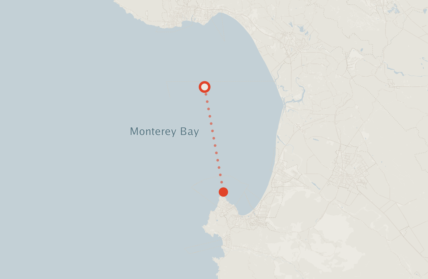 Activity map — real sighting points on an OpenStreetMap basemap