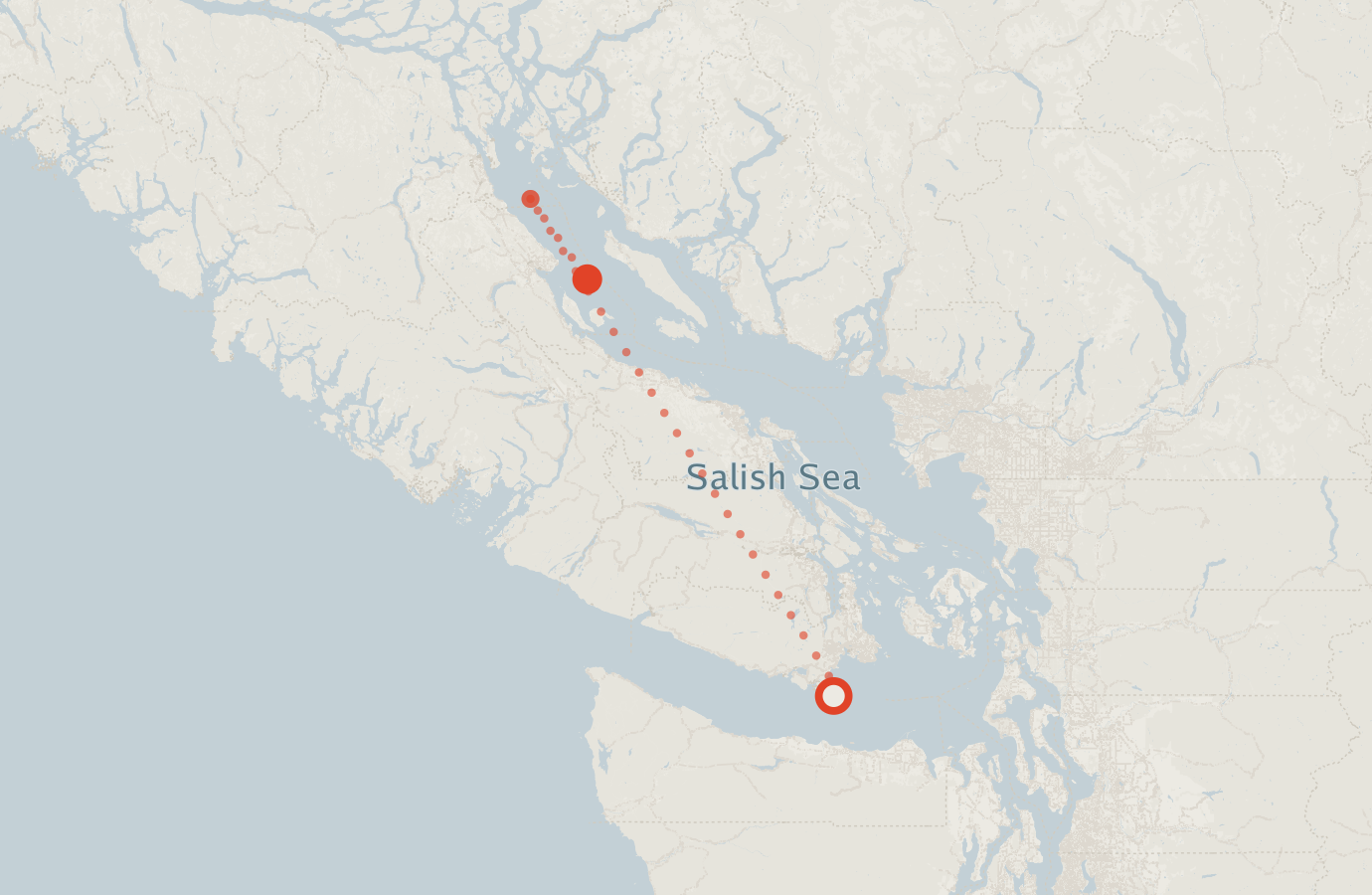 Activity map — real sighting points on an OpenStreetMap basemap