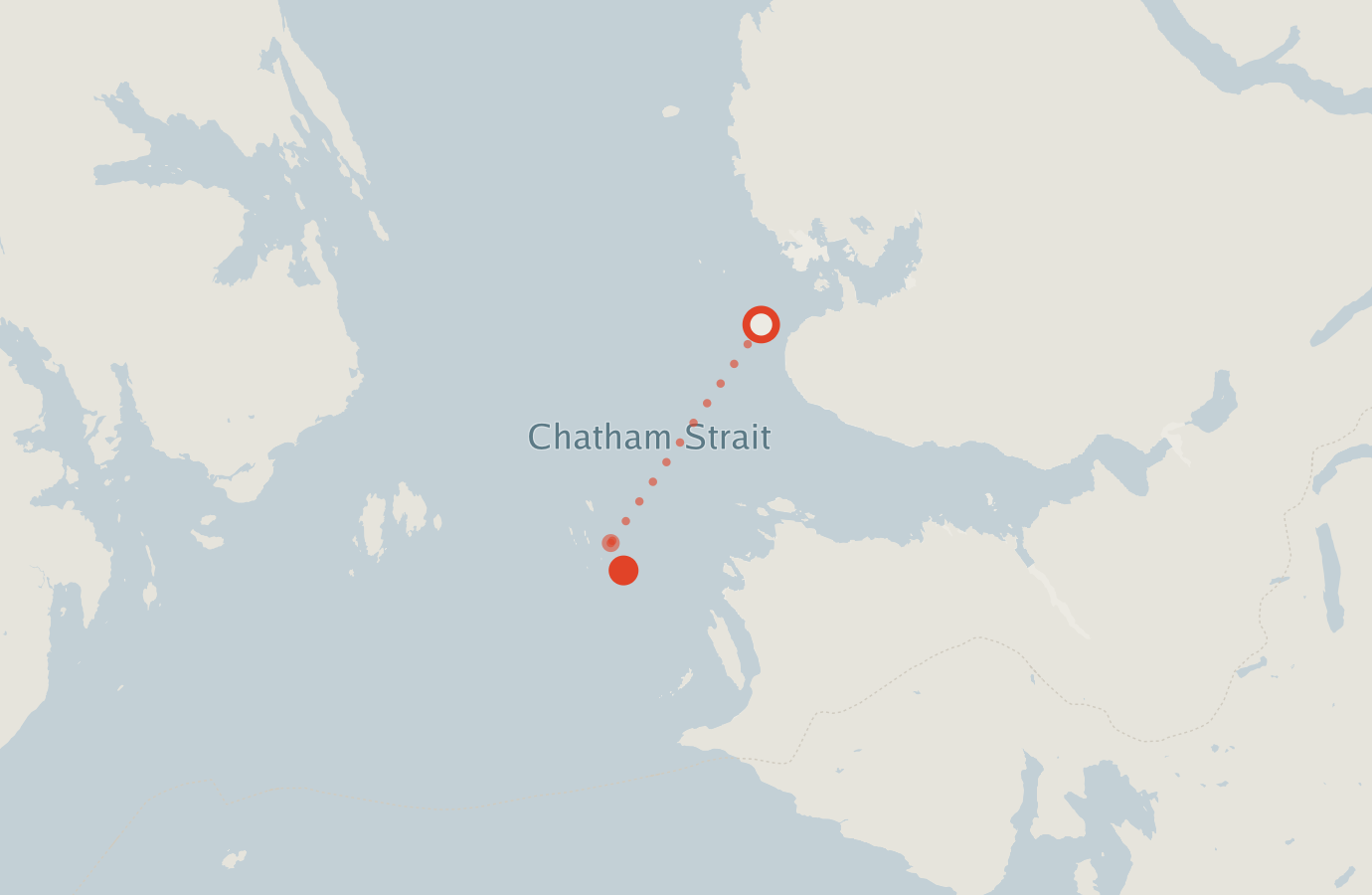 Activity map — real sighting points on an OpenStreetMap basemap