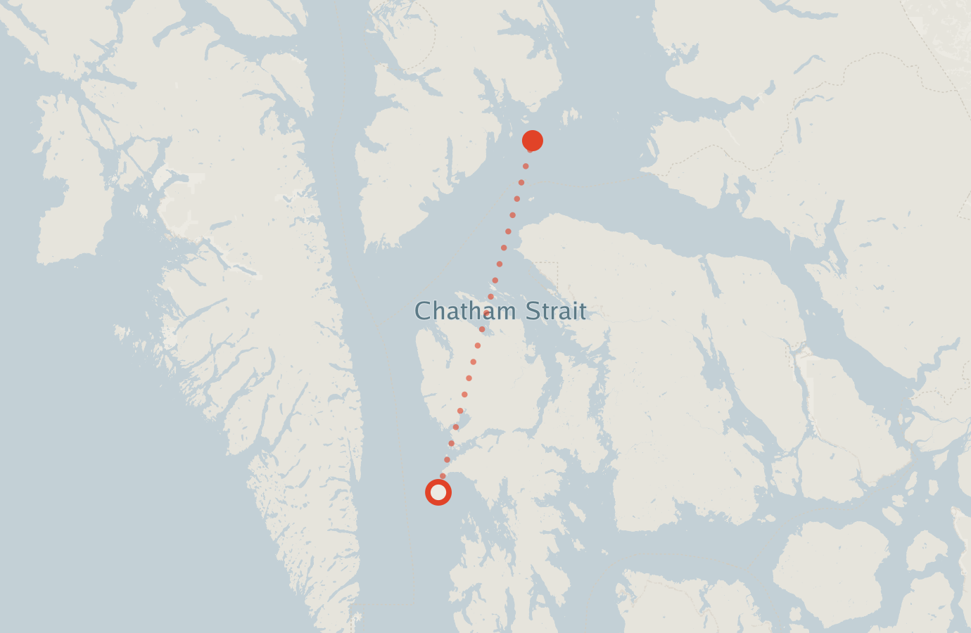 Activity map — real sighting points on an OpenStreetMap basemap