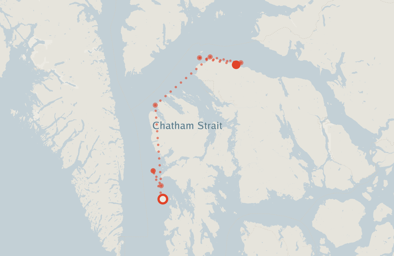 Activity map — real sighting points on an OpenStreetMap basemap