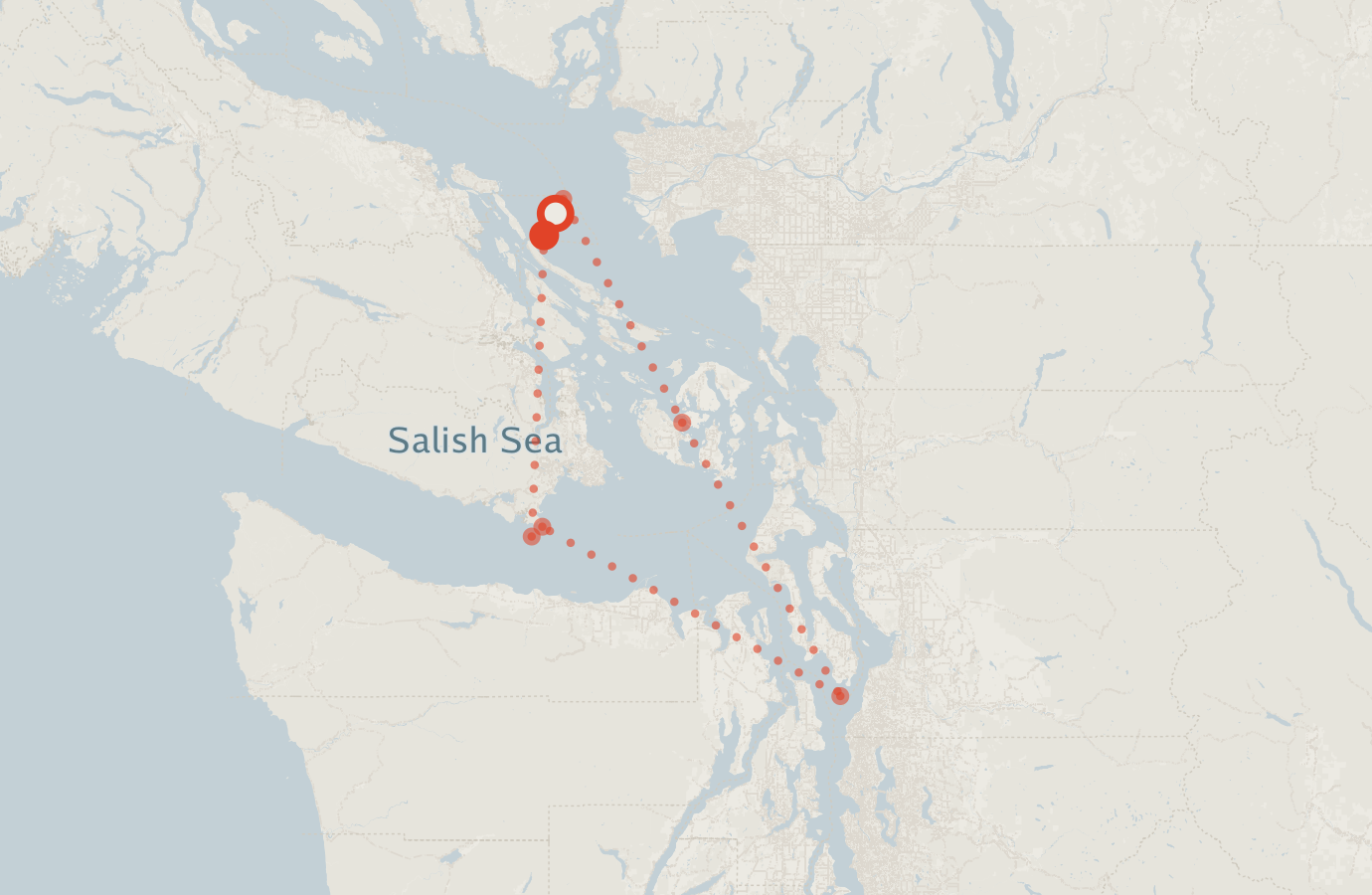 Activity map — real sighting points on an OpenStreetMap basemap