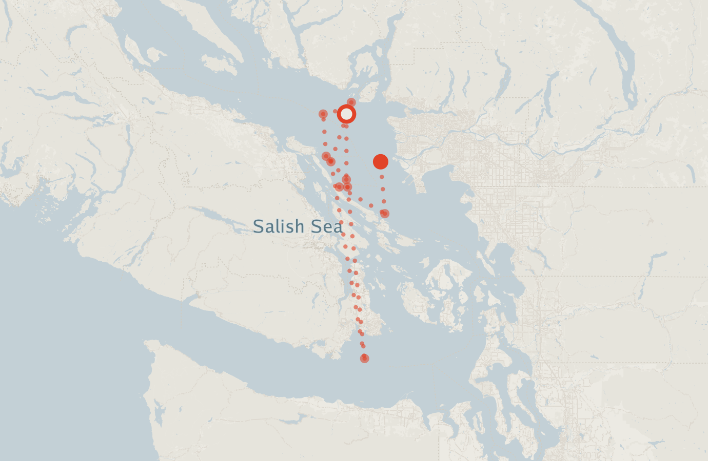 Activity map — real sighting points on an OpenStreetMap basemap