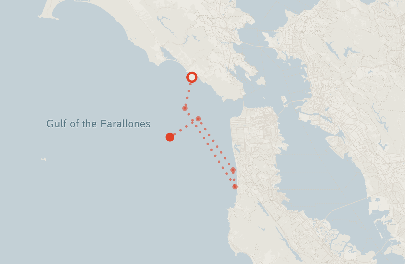 Activity map — real sighting points on an OpenStreetMap basemap