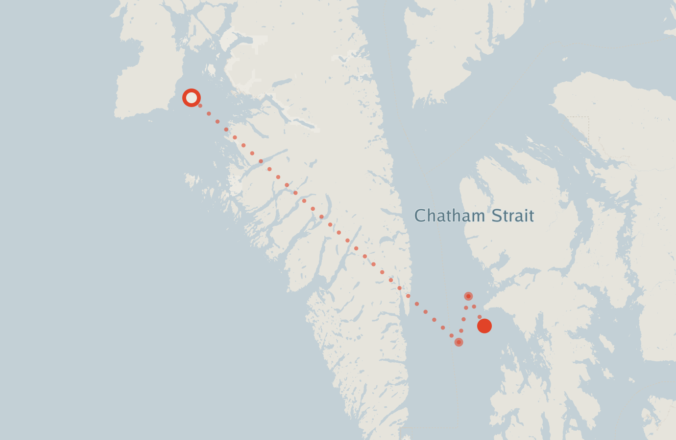 Activity map — real sighting points on an OpenStreetMap basemap